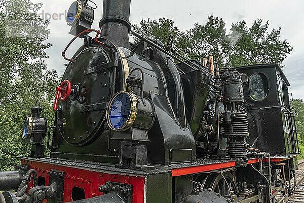 Dampflokomotive der Rheinischen Touristikbahn im Frühling. Volgelsheim  Elsass  Frankreich  Europa