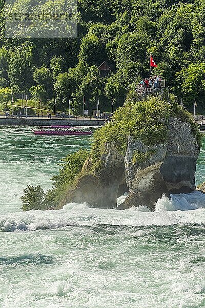Wasserfall des Rheinfalls im Frühling  die größten Wasserfälle Europas. Neuhausen am reinfall  Schaffhausen  Schweiz  Europa