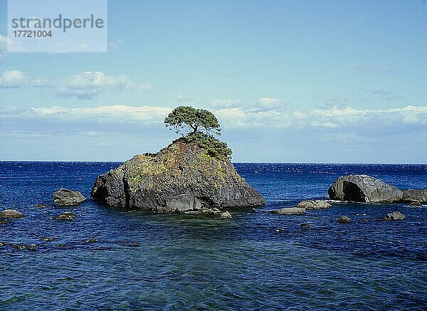 Felsen im Meer mit Pinie Japan Rocks in the sea with pine Japan