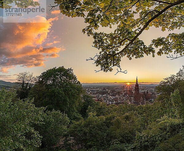 Freiburg  Münster  Sonnenuntergang