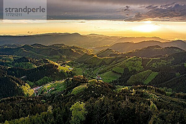 Renchtal  Maisig  Schwarzwald  Sonnenuntergang