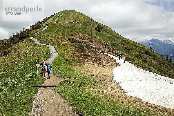 Gratwanderweg Fellhorngrat zwischen Fellhorn-Gipfel und Söllerkopf  Fellhorn  Oberstdorf  Oberallgäu  Allgäuer Alpen  Allgäu  Bayern  Deutschland  Europa