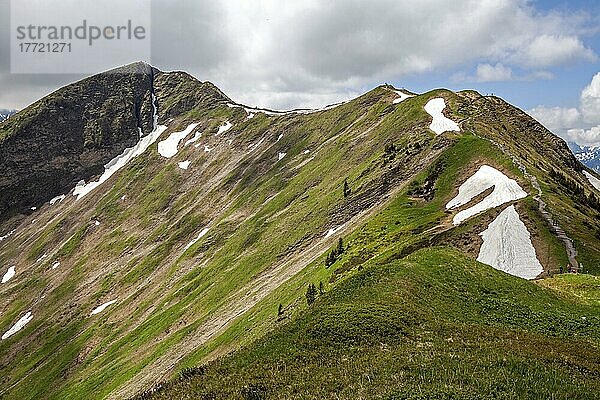 Gratwanderweg Fellhorngrat zwischen Fellhorn-Gipfel und Söllerkopf  Fellhorn  hinten links Fellhorngipfel  Oberstdorf  Oberallgäu  Allgäuer Alpen  Allgäu  Bayern  Deutschland  Europa