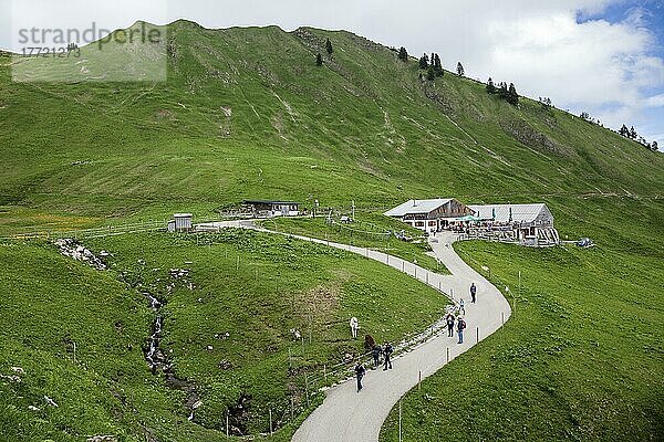 Schlappoldalpe  Fellhorn  Oberstdorf  Oberallgäu  Allgäuer Alpen  Allgäu  Bayern  Deutschland  Europa