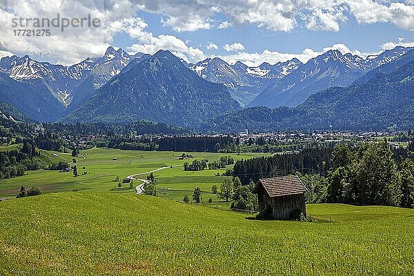 Ausblick von Rubi ins Illertal  hinten Oberstdorf und Allgäuer Alpen  bei Oberstdorf  Oberallgäu  Allgäu  Bayern  Deutschland  Europa