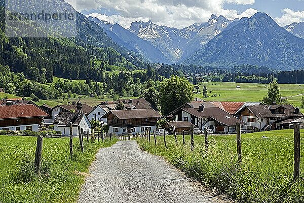 Reichenbach  hinten Oberstdorf und Allgäuer Alpen  Oberallgäu  Allgäu  Bayern  Deutschland  Europa