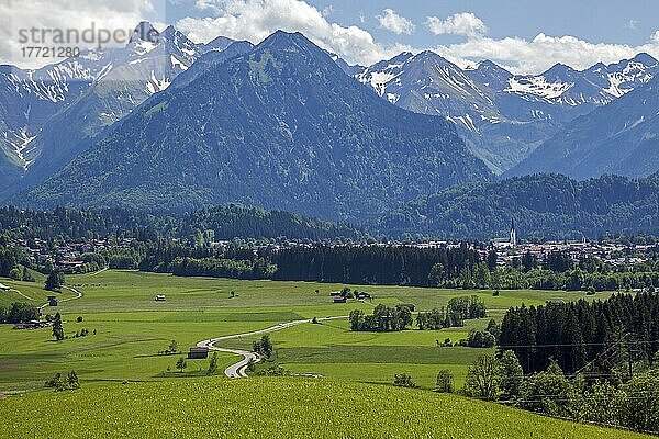 Ausblick von Rubi ins Illertal  hinten Oberstdorf und Allgäuer Alpen  bei Oberstdorf  Oberallgäu  Allgäu  Bayern  Deutschland  Europa