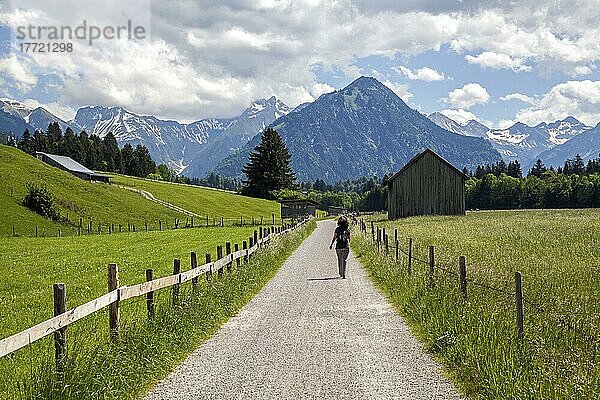 Wanderin auf Kalkofenweg  hinten Allgäuer Alpen  bei bei Oberstdorf  Oberallgäu  Allgäu  Bayern  Deutschland  Europa