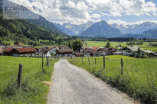 Reichenbach  bei Oberstdorf  Oberallgäu  Allgäu  Bayern  Deutschland  Europa