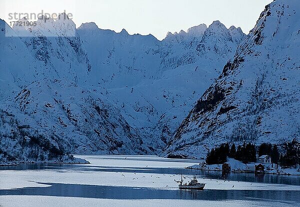 Trollfjord  Fischerboot  Felswand  Winter  Norwegen  Europa
