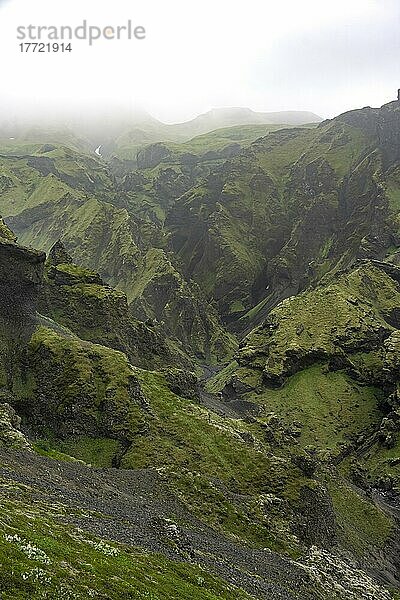 Ausblick in zerklüfteten mit Moos bewachsenen Canyon mit Feslformationen aus Tuffstein  vulkanische Landschaft am Wanderweg Fimmvörðuháls  Þórsmörk Nature Reserve  Suðurland  Island  Europa