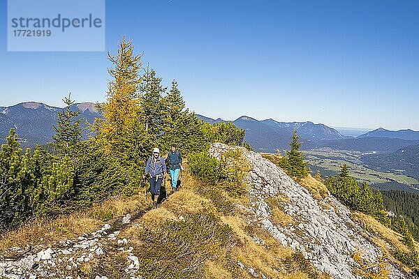 Zwei Wanderer im Herbst  hinten Berge  bei Scharnitz  Bayern  Deutschland  Europa