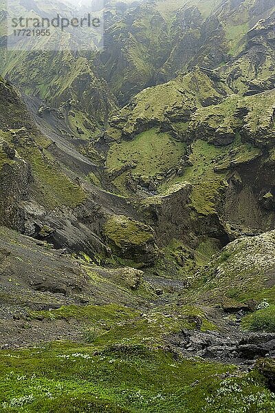 Ausblick in zerklüfteten mit Moos bewachsenen Canyon mit Feslformationen aus Tuffstein  vulkanische Landschaft am Wanderweg Fimmvörðuháls  Þórsmörk Nature Reserve  Suðurland  Island  Europa