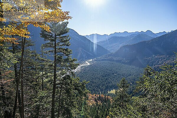 Wald im Herbst  Berglandschaft bei der Großen Arnspitze  bei Scharnitz  Bayern  Deutschland  Europa