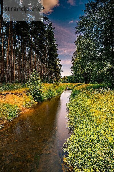 Langzeitbelichtung vom Fluss Wietze in Langenhagen in der Region Hannover  fließt durch Wald und Felder im Frühsommer bei blauen Himmel und vereinzelten Wolken  Langenhagen  Niedersachsen  Deutschland  Europa