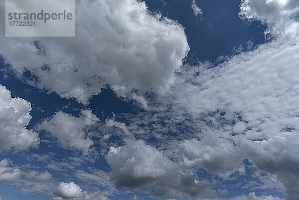 Haufenwolken (Cumulus)  Bayern  Deutschland  Europa