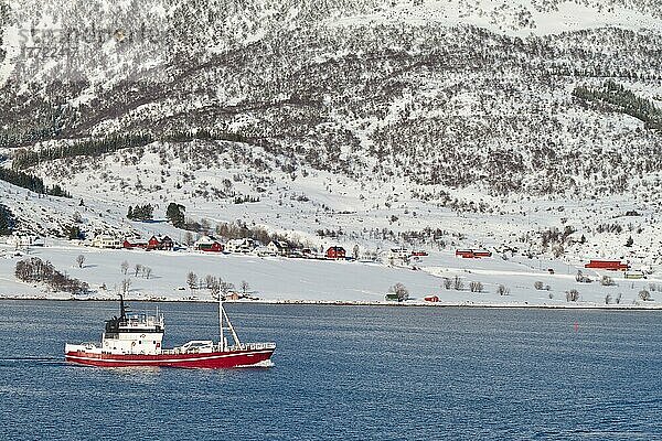 Fischerboot  nahe Stokmarknes  Winter  Norwegen  Europa