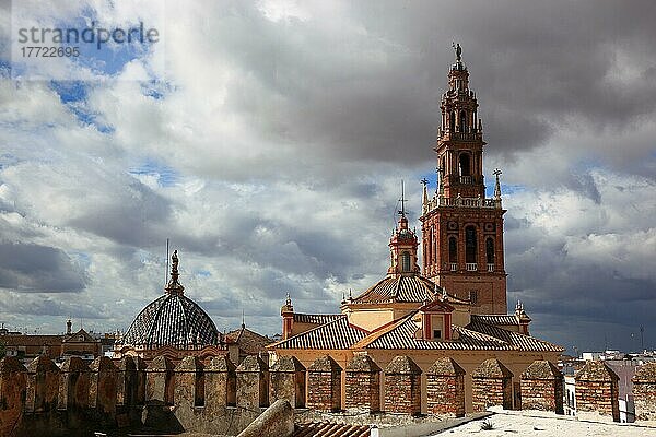 Stadt Carmona in der Provinz Sevilla  Blick vom Alkazar de la Puerta de Sevilla aud die Altstadt und die Kathedrale San Pedro  Andalusien  Spanien  Europa