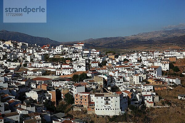 Blick auf das Weiße Dorf Alora  Andalusien  Spanien  Europa