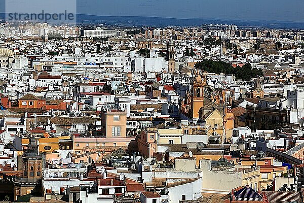 Altstadt von Sevilla  Blick vom Turm der Kathedrale auf die Stadt  Andalusien  Spanien  Europa