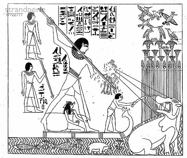Jagd auf Nilpferde im alten Ägypten  ca 1100 v. Chr  Historisch  digitale Reproduktion einer Originalvorlage aus dem 19. Jahrhundert