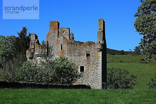 Ruine des Glenbuchat Castle (auch Glenbucket Castle)  liegt auf einer niedrigen Klippe über dem Fluss Don westlich von Aberdeen in Schottland  Großbritannien  Europa
