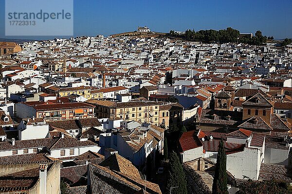 Ausblick von der Alcazaba auf die Stadt  Antequera  Andalusien  Spanien  Europa