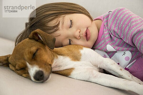Kleines Mädchen schläft neben einem Terrier-Mischlingshund