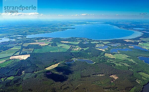 Luftbild der Müritz  kleines Meer  Mecklenburgischen Seenplatte  Wasser  See  groß  Mecklenburg-Vorpommern  Deutschland  Europa