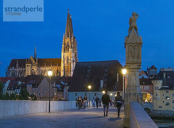 Auf der Steinernen Brücke  Blick auf Altstadt und Dom  Blaue Stunde  Regensburg