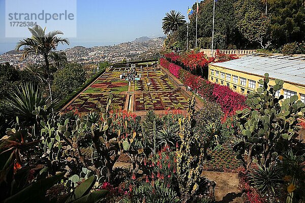 Funchal  Blick vom Tropischen Garten  Jardim Tropical Monte Palace  auf die Stadt und den Hafen  Madeira