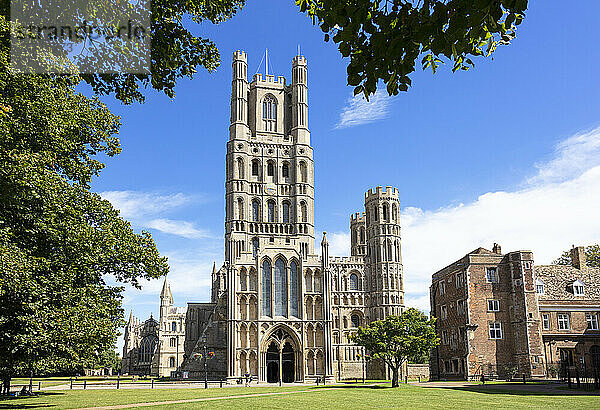 Ely Cathedral (Kathedrale der Heiligen und Ungeteilten Dreifaltigkeit) von Palace Green  Ely  Cambridgeshire  England  Vereinigtes Königreich  Europa