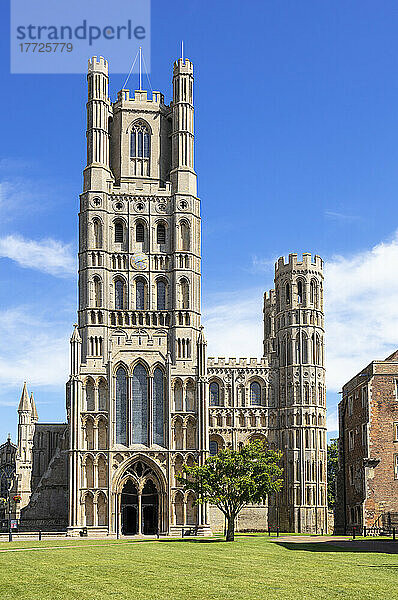 Ely Cathedral (Kathedrale der Heiligen und Ungeteilten Dreifaltigkeit) von Palace Green  Ely  Cambridgeshire  England  Vereinigtes Königreich  Europa