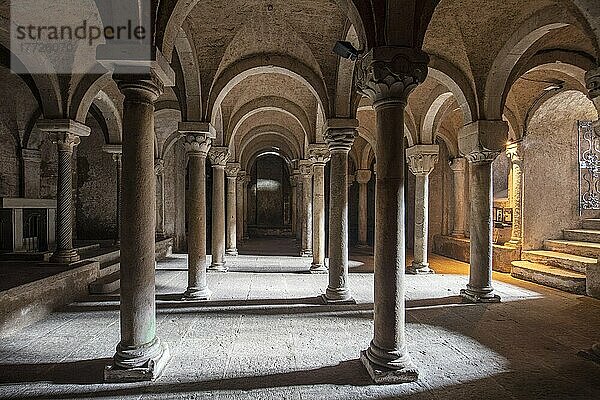 The crypt  Cathedral of Nepi  Nepi  Viterbo  Lazio  Italy  Europe