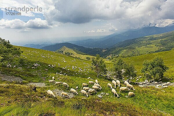 Bielmonte  Biella  Piemont  Italien  Europa