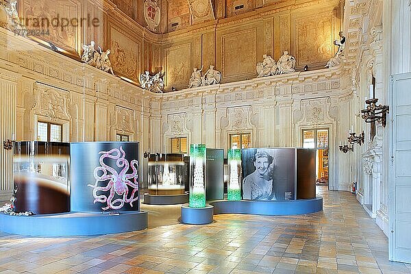 Palazzo Madama  Turin  Piemont  Italien  Europa