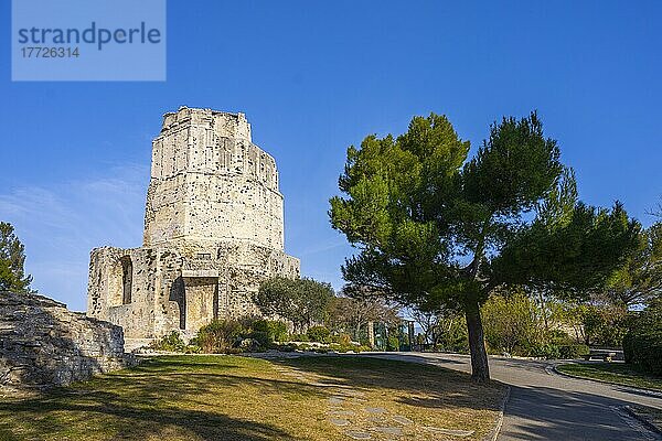 Der Magne-Turm  Nîmes  Gard  Okzitanien  Frankreich  Europa