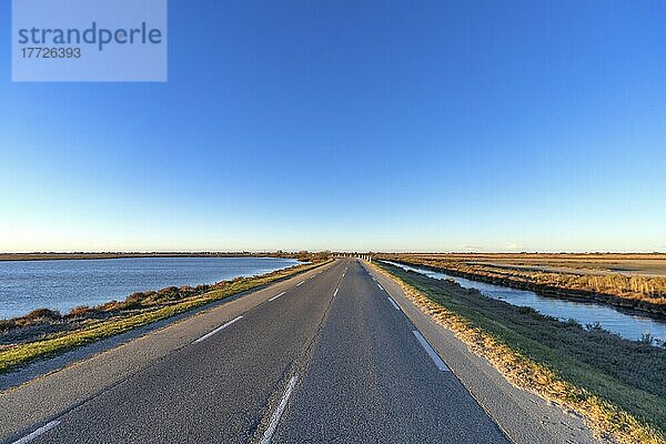 Route de Caharel  Saintes-Maries-de-la Mer  Camargue  Bouches du Rhone  Provence-Alpes-Côte d'Azur  Frankreich  Mittelmeer  Europa