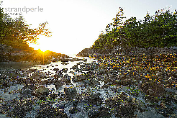 Sonnenuntergang am Mackenzie Beach  Tofino  Vancouver Island  British Columbia  Kanada  Nordamerika