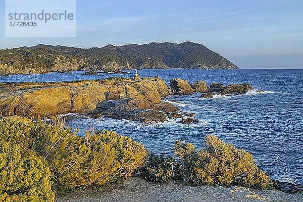 Insel Grand Gaou  Six-Fours-les-Plages  Provence-Alpes-Côte d'Azur  Frankreich  Mittelmeer  Europa