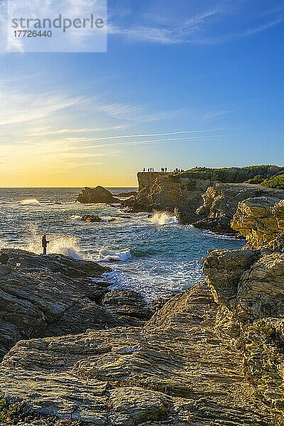 Insel Grand Gaou  Six-Fours-les-Plages  Provence-Alpes-Côte d'Azur  Frankreich  Mittelmeer  Europa