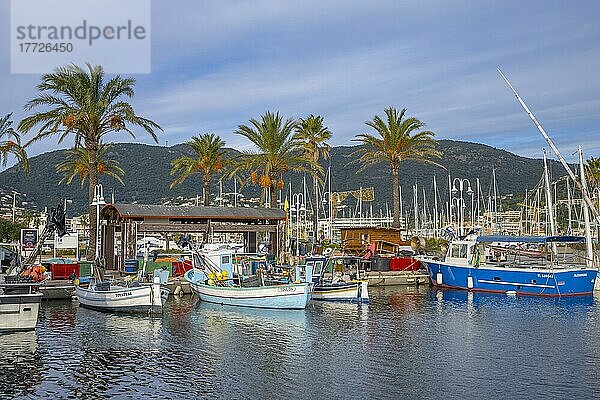 Cavalaire-sur-Mer  Provence-Alpes-Côte d'Azur  Frankreich  Mittelmeer  Europa