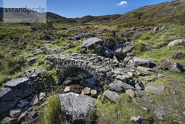 Die Römische Treppe im Sommer oberhalb von Cwm Bychan  Rhinogydd (Rhinog) Mountains  Snowdonia National Park  Nordwales  Vereinigtes Königreich  Europa