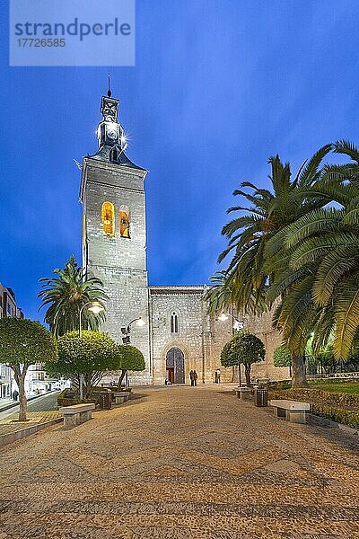 Pfarrkirche San Pedro  Ciudad Real  Kastilien-La Mancha  Spanien  Europa