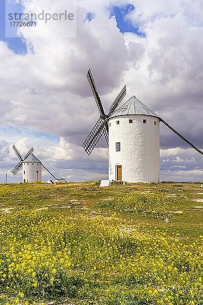 Windmühlen  Campo de Criptana  Ciudad Real  Kastilien-La Mancha  Spanien  Europa