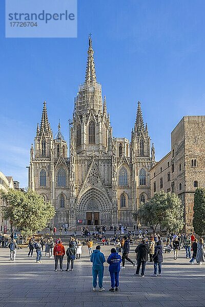 Die Kathedrale (Catedral de la Santa Creu i Santa Eulalia)  Barcelona  Katalonien  Spanien  Europa