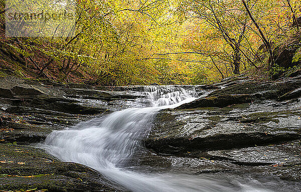 Herbstfarben und Laub in einem Wald mit einem Wasserfall  der zwischen Felsen fließt  Emilia Romagna  Italien  Europa