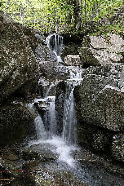 Small waterfall between rocks in the woods  Emilia Romagna  Italy  Europe