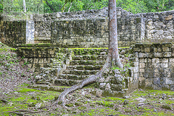 Structure IV-B  Balamku Archaeological Zone  Mayan Ruins  Campeche State  Mexico  North America