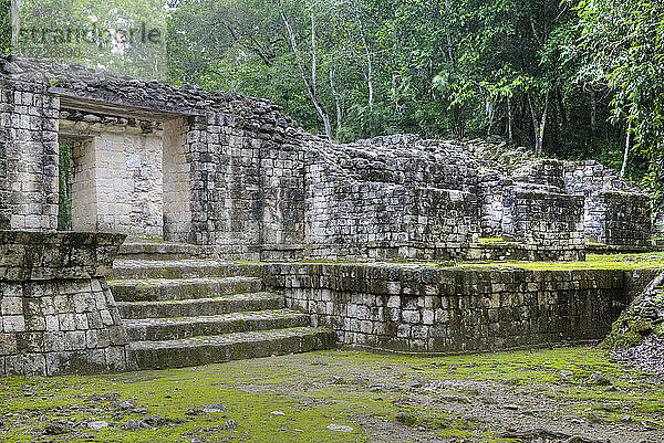 Portal  Structure IV-B  Balamku Archaeological Zone  Mayan Ruins  Campeche State  Mexico  North America
